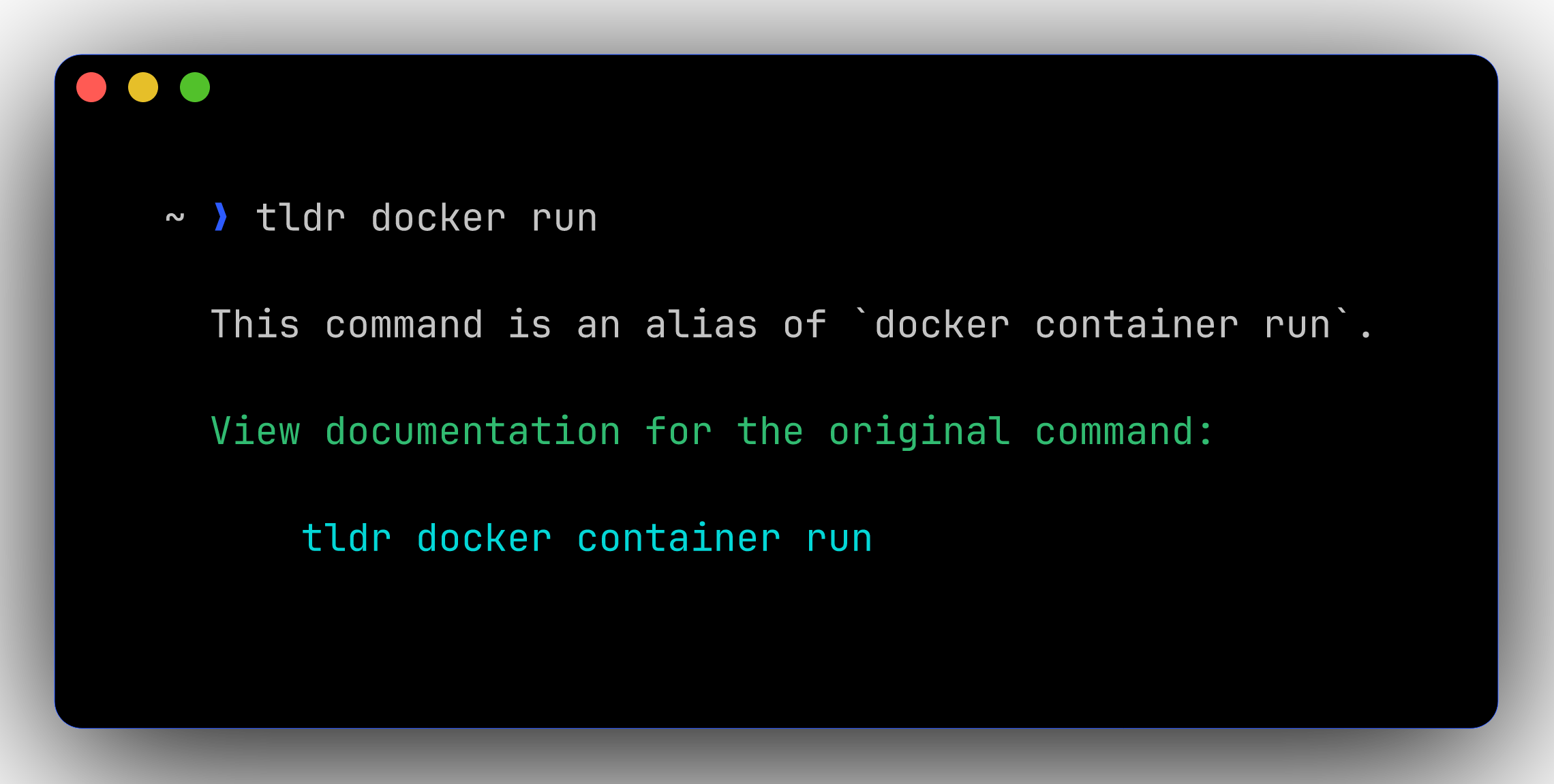 tldr docker run